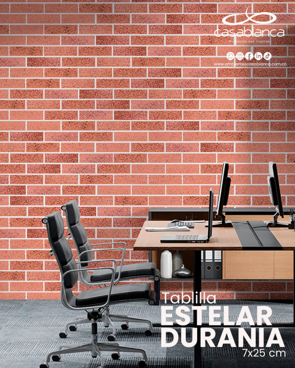 TABLILLA ESTELAR - Imagen 2